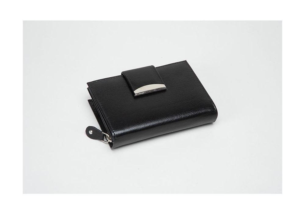 Charles Smith Multi Compartment Purse (RFID - 13 x 9cm)